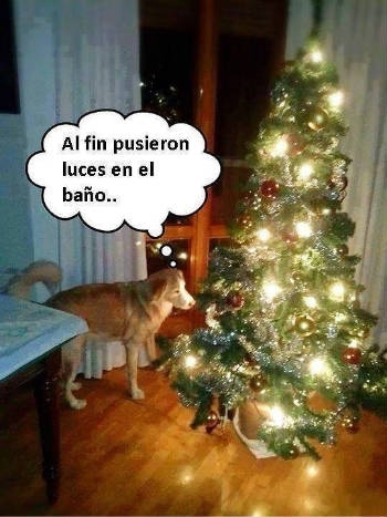 navidad