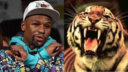 Floyd Mayweather Adopta un Tigre Salvaje