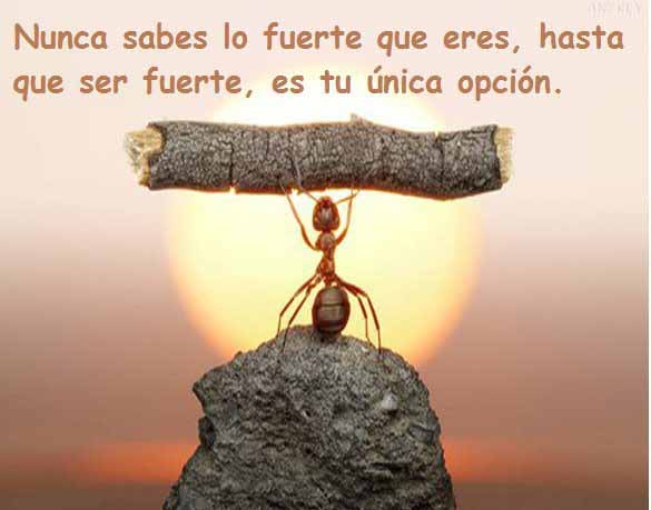 frases