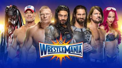 WWE WrestleMania 33: Batallas, predicciones y ganadores