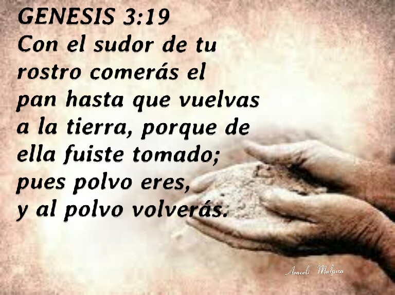 Genesis 3-19, Labor Day 2017, Versiculos de la Biblia para compartir