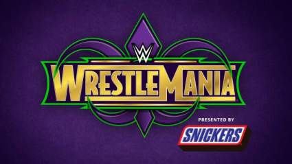 WWE WrestleMania 34: Batallas, Predicciones y Ganadores