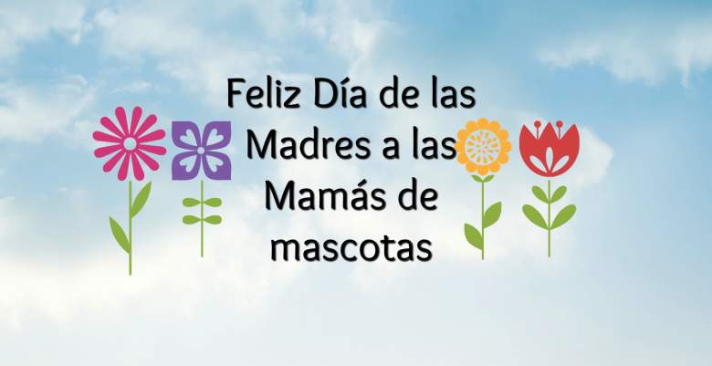 Mama de mascotas