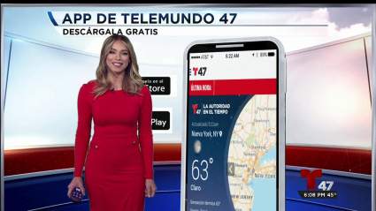 ¿Por qué despidieron a Janice Bencosme de Un Nuevo Día?
