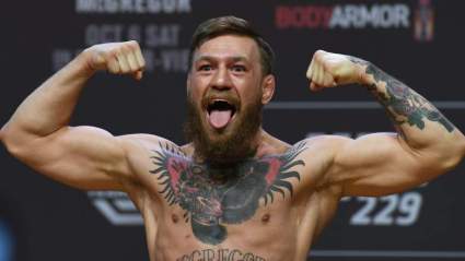 UFC 229: Khabib vs McGregor: ¿Quién ganó?