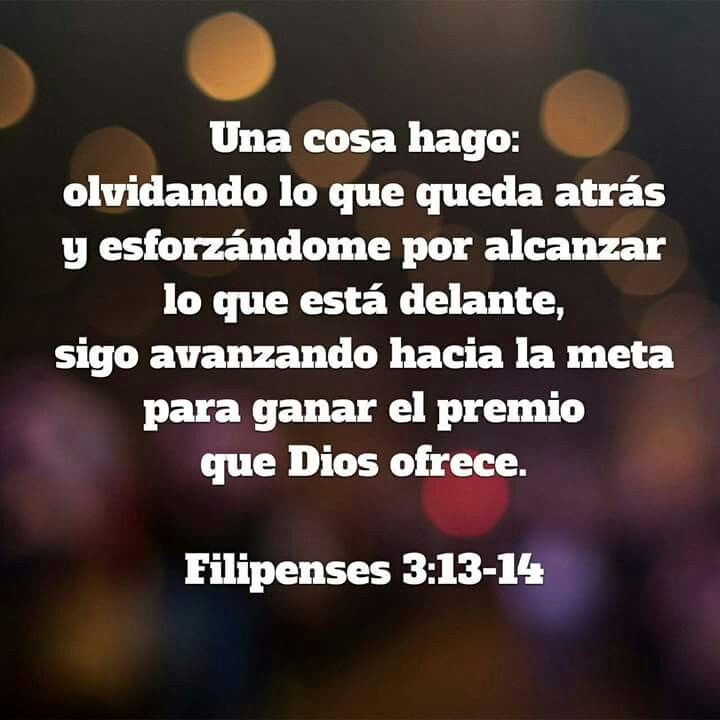 !Feliz Año Nuevo 2019!: Versículos de la Biblia para compartir, Filipenses 3 :13- 14