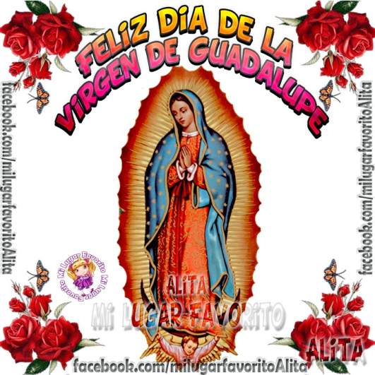 Virgen de Guadalupe 2018: Frases e imágenes para compartir