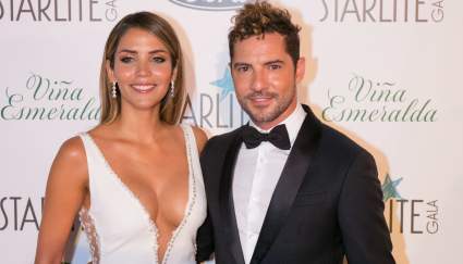 ¡Guerra! La ex de David Bisbal y Rosanna Zanetti encienden las redes sociales ¿Qué se dijeron?