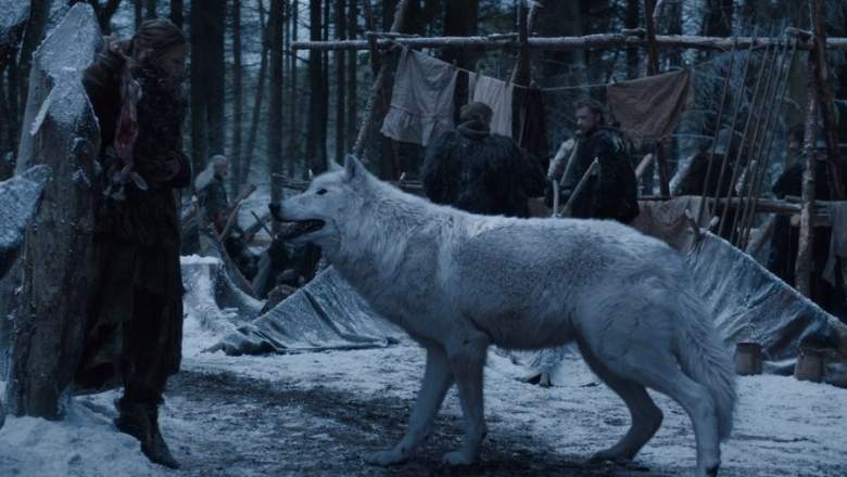 ¿Ghost está vivo o muerto en "Game of Thrones"?