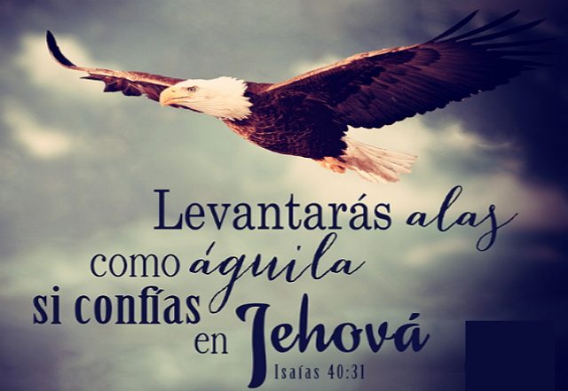 09/11 2019: Versículos de la Biblia para compartir, Dios,