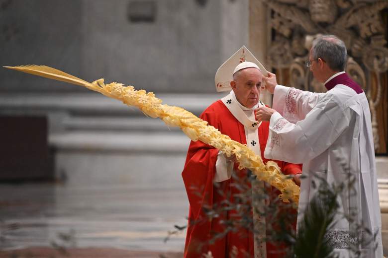 ¿Cuál fue el mensaje del Papa Francisco en la misa de Domingo de Ramos?