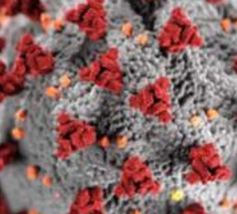 Segundos cheques de estimulo & Coronavirus: Noticias de Agosto 31