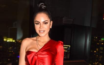 Natti Natasha con planes de boda con Raphy Pina: ¿Quién es él?