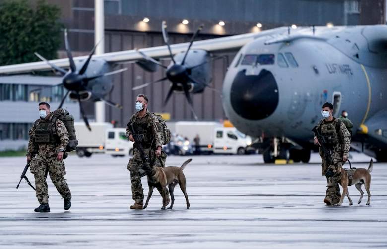 perros-abandonados-aeropuerto-kabul