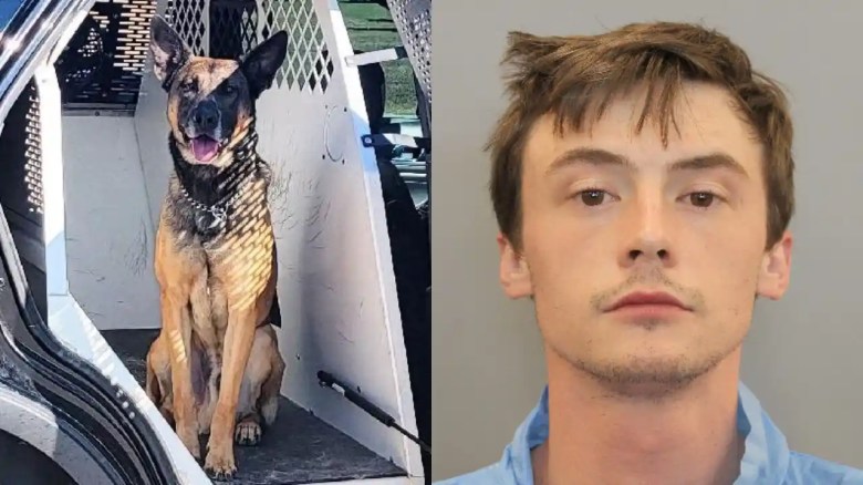 Ryan Mitchell Smith está acusado de apuñalar al policía de Houston K-9 Nate.