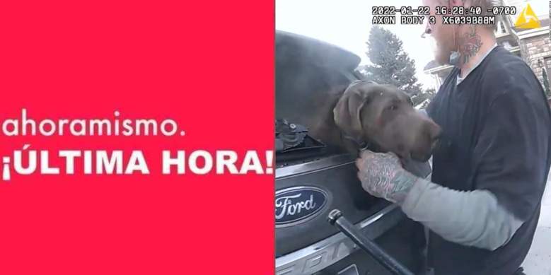 Dramático rescate de un perro en Colorado