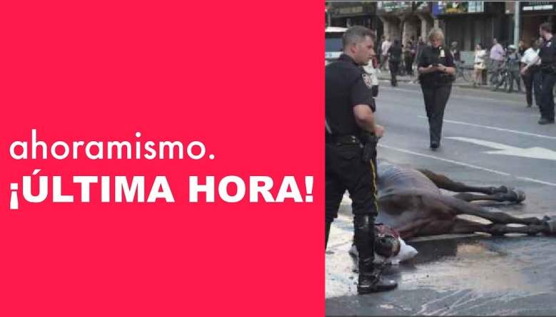 VIDEO muestra colapso de caballo de Central Park en plena calle: Dueño lo golpea