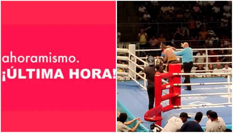 luis-quinones-coma-boxeo