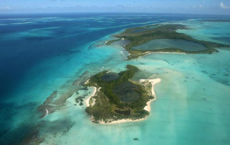 Hallan misteriosa criatura en el Mar Caribe