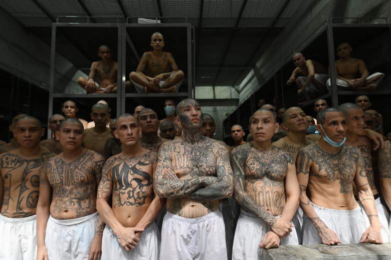 La lista completa de los nombres de los venezolanos deportados a El Salvador por Trump