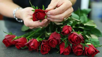 ‘Bachelorette’ Lead Will Star on New Reality Competition Show Airing on Fox