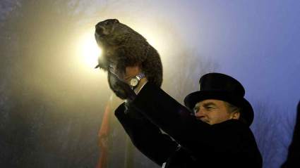 Día de labranza 2020 Punxsutawney Phil Prediction Live Stream: Cómo ver en línea
