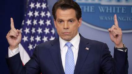 Anthony Scaramucci Altura & Edad: ¿Qué edad tiene Tall?