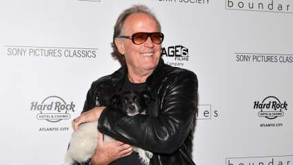 Política de Peter Fonda: 5 Datos rápidos que necesitas saber