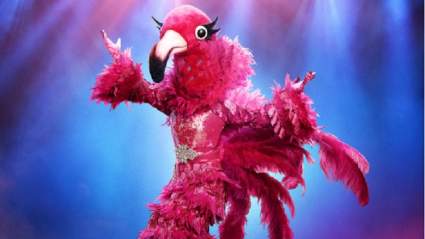 Flamingo en “El Cantante Mascara” Clues y Adivinas 10/2/2019