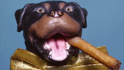 Nuevo en Netflix: Lo mejor de Triumph el perro cómico Insult