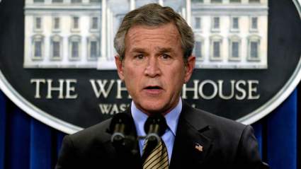 Nicolle Wallace, ‘La vista’: 5 hechos que necesitas saber