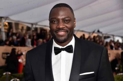 ¿Está Adewale Akinnuoye-Agbaje Married? ¿Tiene una esposa?