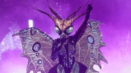 Mariposa sobre “El Cantante Mascara”: 5 Datos rápidos para saber