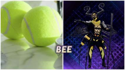 “El Cantante Mascado” Adivina tan lejos 2019