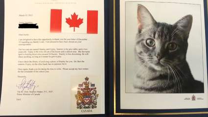 Cat del primer ministro canadiense se convierte en celebridad