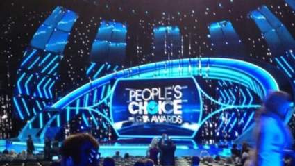 Premios de elección popular 2014: Lista de ganadores de Nominees